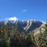 Frosty Tips, Mount Katahdin