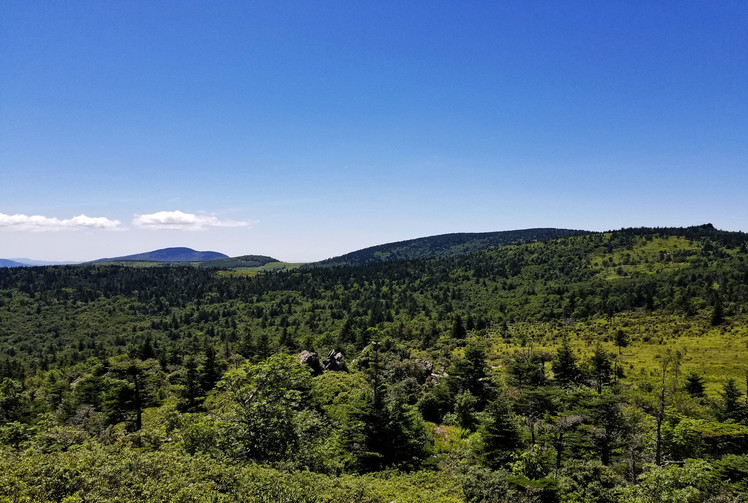 Mount Rogers and Whitetop