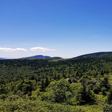 Mount Rogers and Whitetop