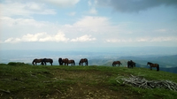 Stolovi (Usovica - 1375m) photo