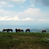 Stolovi (Usovica - 1375m)