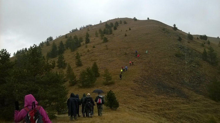 Ozren (Pešter) - Revuša, vrh Orlovača, 1693m