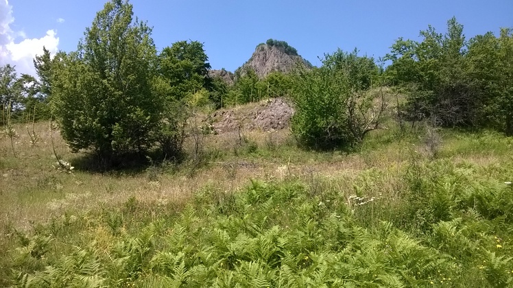 Rogozna (vrh Jeleč, 1262m)