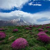 Damavand (دماوند)