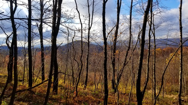 Sugarloaf Knob