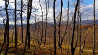 Sugarloaf Knob photo