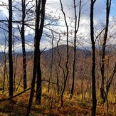 Sugarloaf Knob