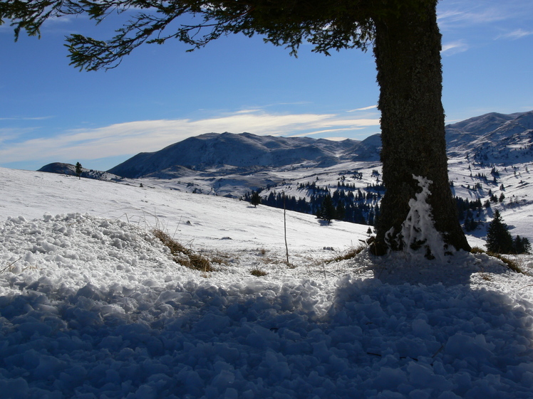 Pogled sa puta na Ljutu Gredu, Vlašić (mountain)