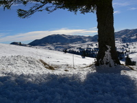 Pogled sa puta na Ljutu Gredu, Vlašić (mountain) photo