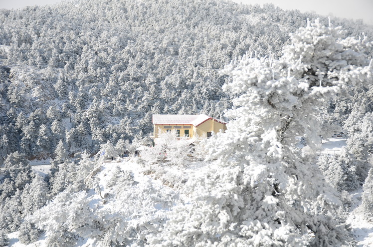 Enjoying the view to the refuge, Parnitha