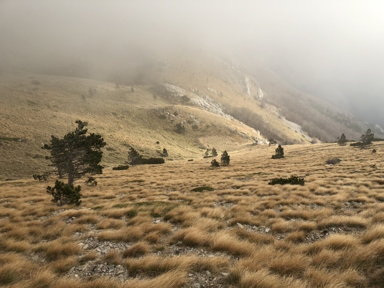 Velebit weather