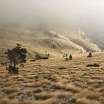 Velebit