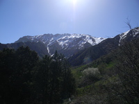 Greater Chimgan in spring photo