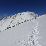 Marching toward Baldy, Mount Baldy (San Gabriel Range)