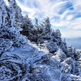 Roan High Knob