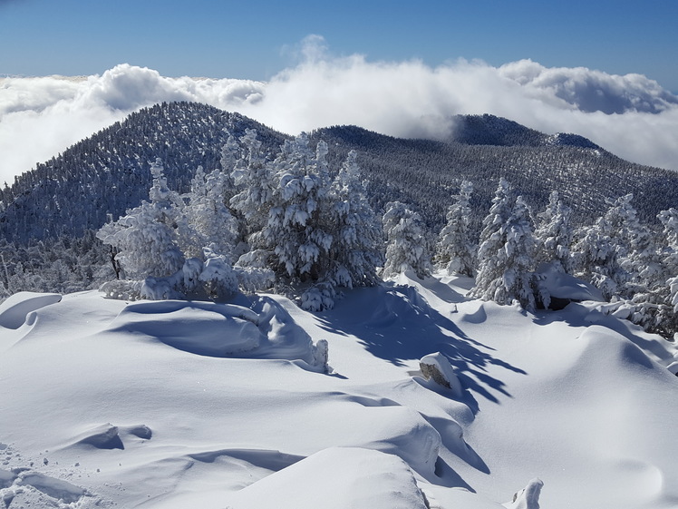 Looking south from San Jacinto Peak, Mount San Jacinto Peak