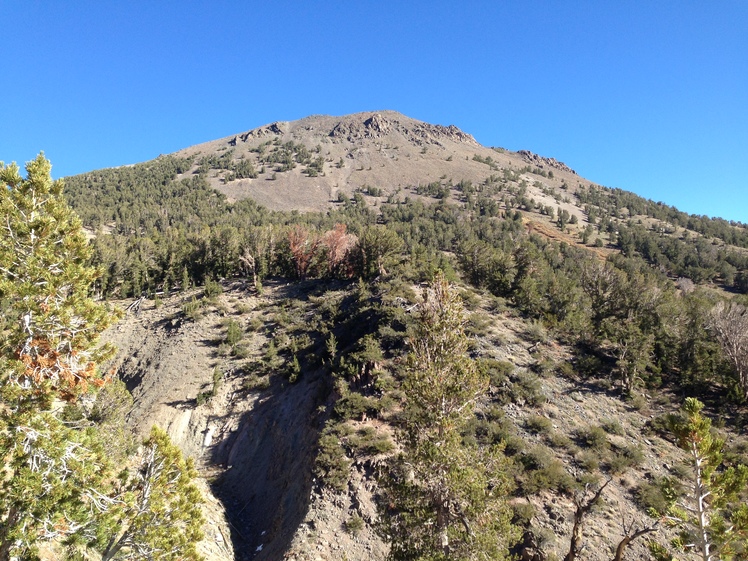 Mt. Rose, Mount Rose