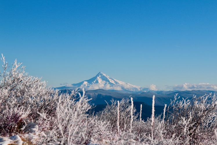 View of Mt Hood in winter, Silver Star Mountain (Skamania County, Washington)