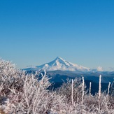 View of Mt Hood in winter, Silver Star Mountain (Skamania County, Washington)