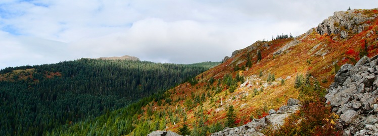 Fall colors, Silver Star Mountain (Skamania County, Washington)