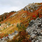 Fall colors, Silver Star Mountain (Skamania County, Washington)