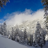 Looking up to Mt Chareston from Trail Canyon, Mount Charleston