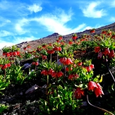 Mount Barm Firooz, Dena