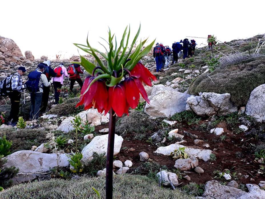 naser ramezani mount barmfirooz, Dena