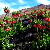 naser ramezani mount barmfirooz, Dena