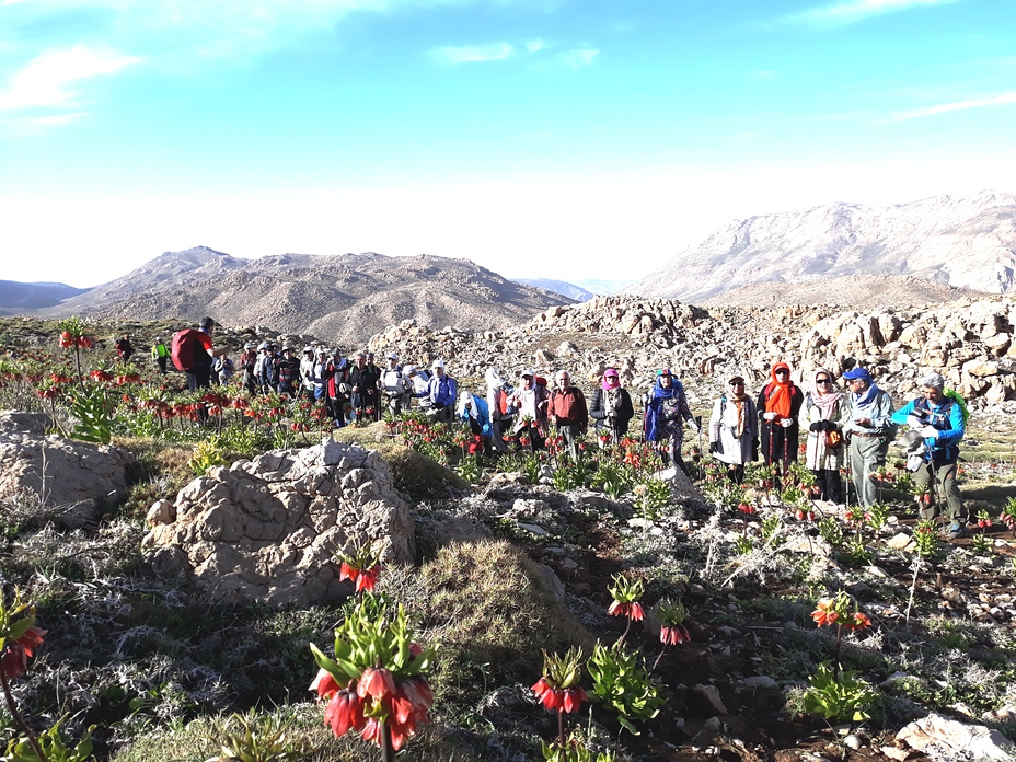 naser ramezani mount barmfirooaz, Dena