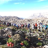 naser ramezani mount barmfirooaz, Dena