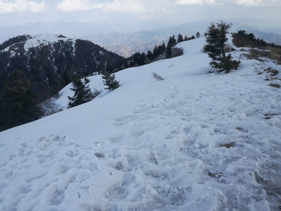 Miranjani in winter 2018