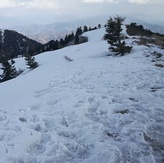 Miranjani in winter 2018