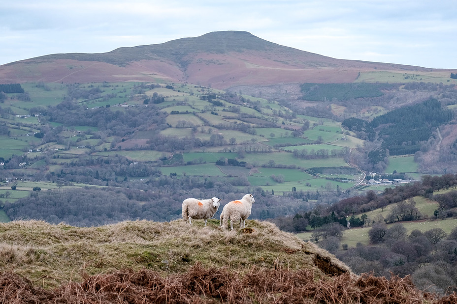 Sugar Loaf Mountain (Wales) weather