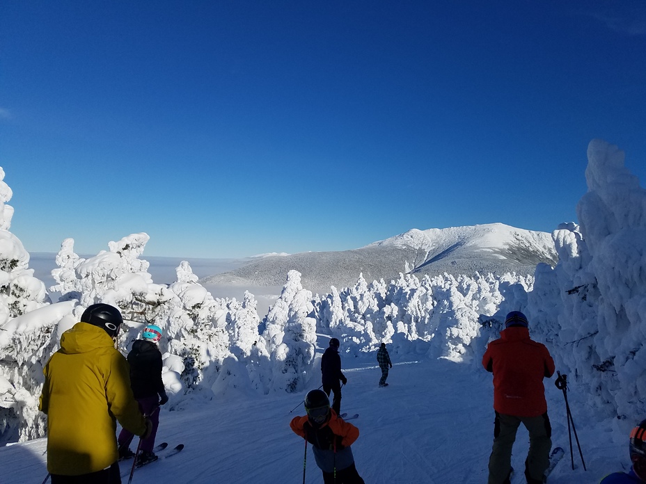 Bluebird, Cannon Mountain (New Hampshire)