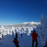 Bluebird, Cannon Mountain (New Hampshire)