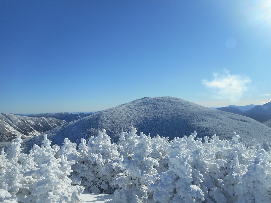 Mount Field (New Hampshire) weather