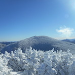 Mount Field, Mount Field (New Hampshire)