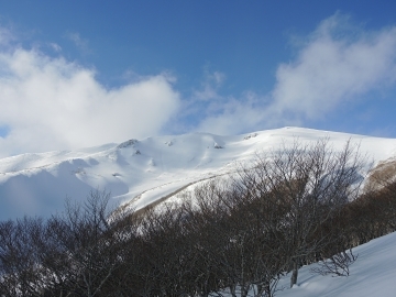 Kurikoma