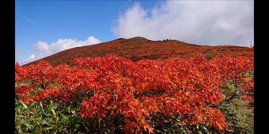 Kurikoma weather