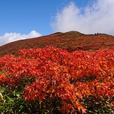 Kurikoma