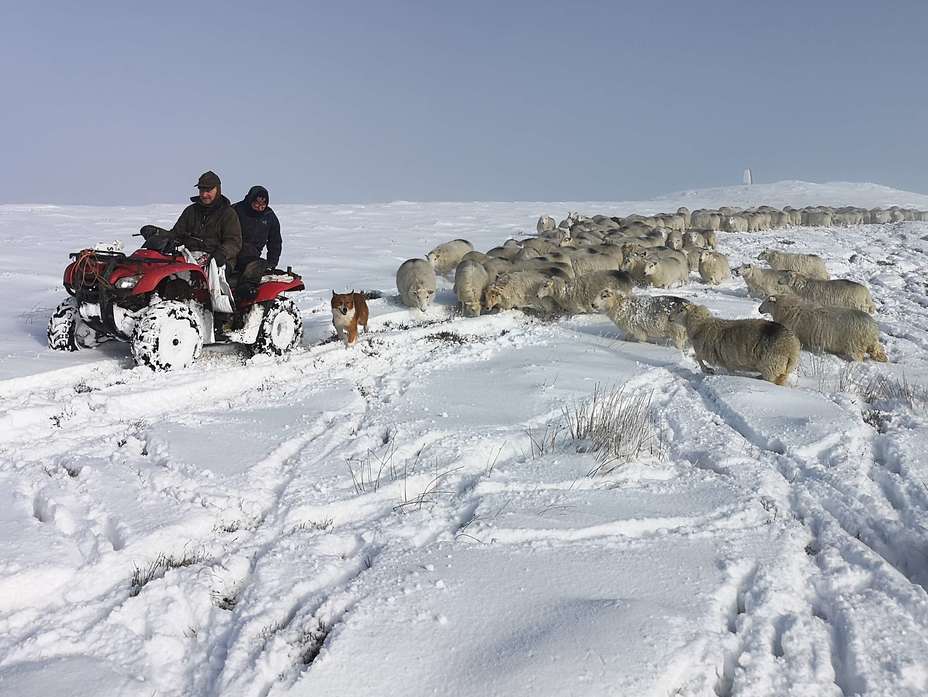 Snow on Summit, Beacon Hill, Powys