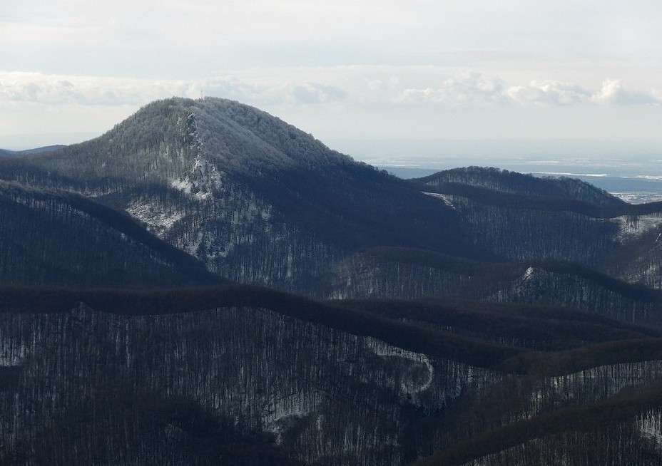 Vysoka- Little Carpathians, Vysoká (Carpathian mountain)