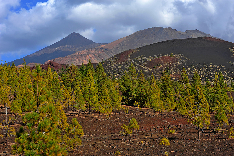 Pico de Teide, Tenerife