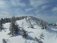 Carter Dome, Carter-Moriah Range, White Mountains, NH photo