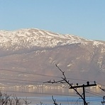 Galicica, Galičica