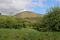 Temple Hill, Temple Hill (Ireland) photo