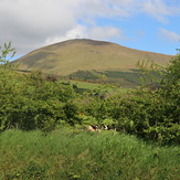 Temple Hill, Temple Hill (Ireland)