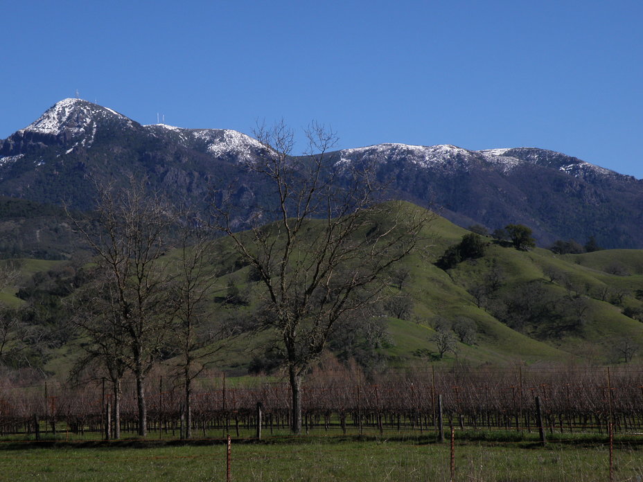 Mount Saint Helena