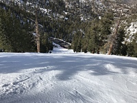 Looking down the face run, Waterman Mountain photo